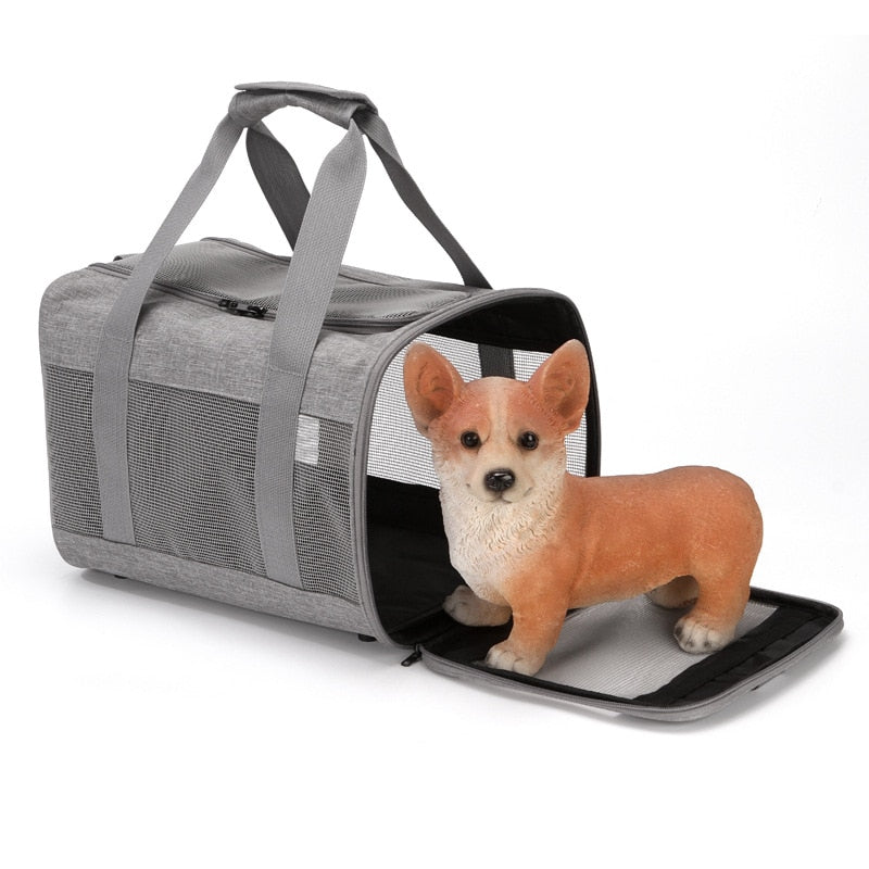 Pet Spot Hat Bag Portable Simple Diagonal Pet Bag Dog Cat Out Portable Bag Pet Cage Cat Backpack  Pet Bag