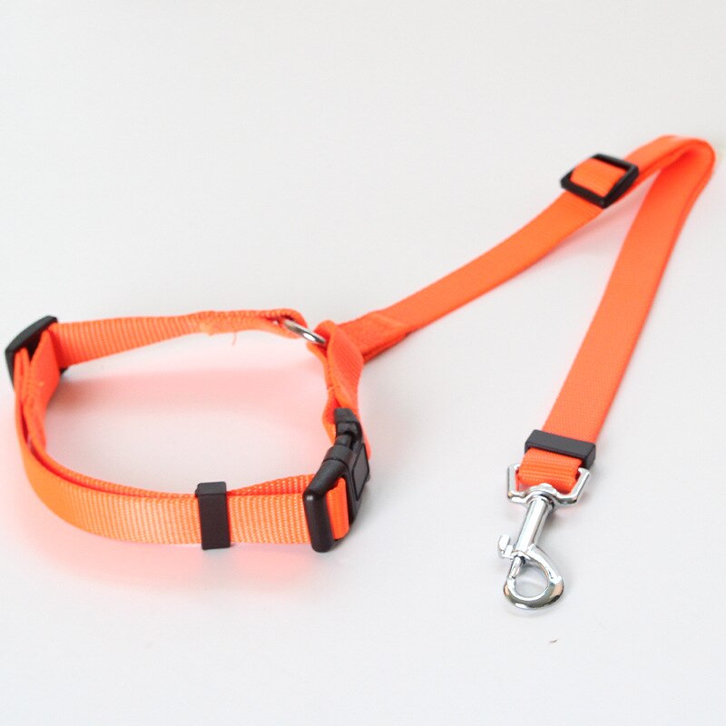 Pet Car Safety Leash Ring Dog Car Seat Belt Rear Seat Leash Leash Dog Name Tag  Collar Dog  Dog Harness and Leash Set  Auto