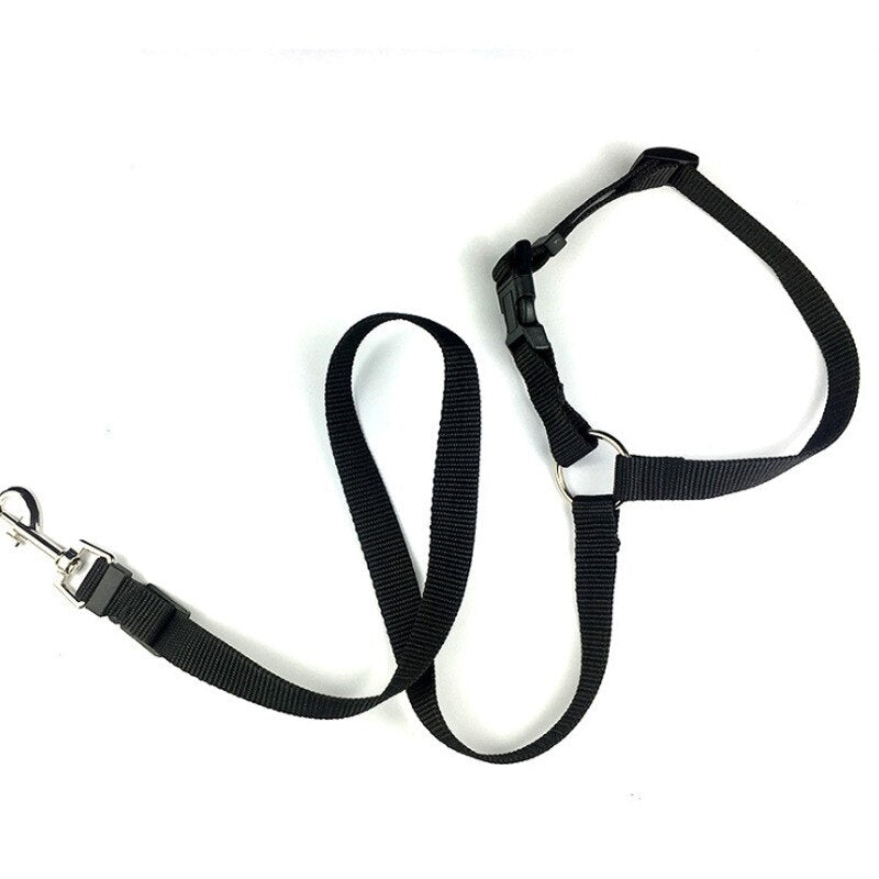 Pet Car Safety Leash Ring Dog Car Seat Belt Rear Seat Leash Leash Dog Name Tag  Collar Dog  Dog Harness and Leash Set  Auto